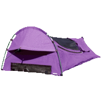 Bluey XL Dome Swag - Purple