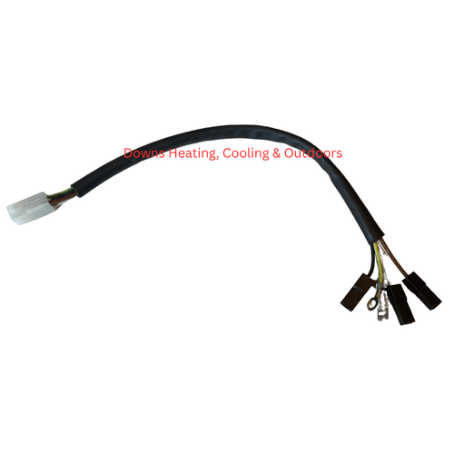 Eureka/ Jindara Wiring Loom